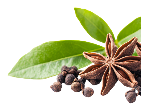 Hojas de especias seleccionadas para enfoque retail